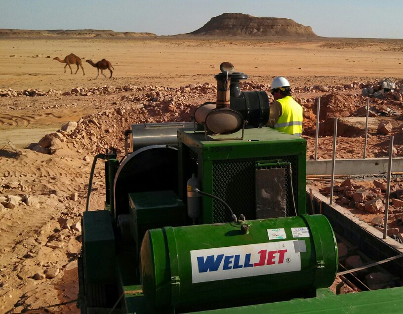 camels walking past work site in Jordan.