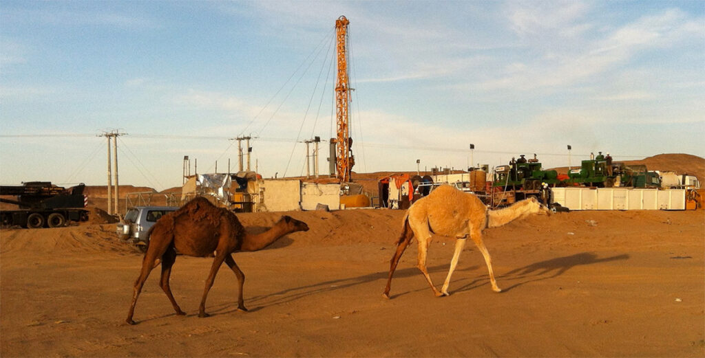 two camels walking by work site.